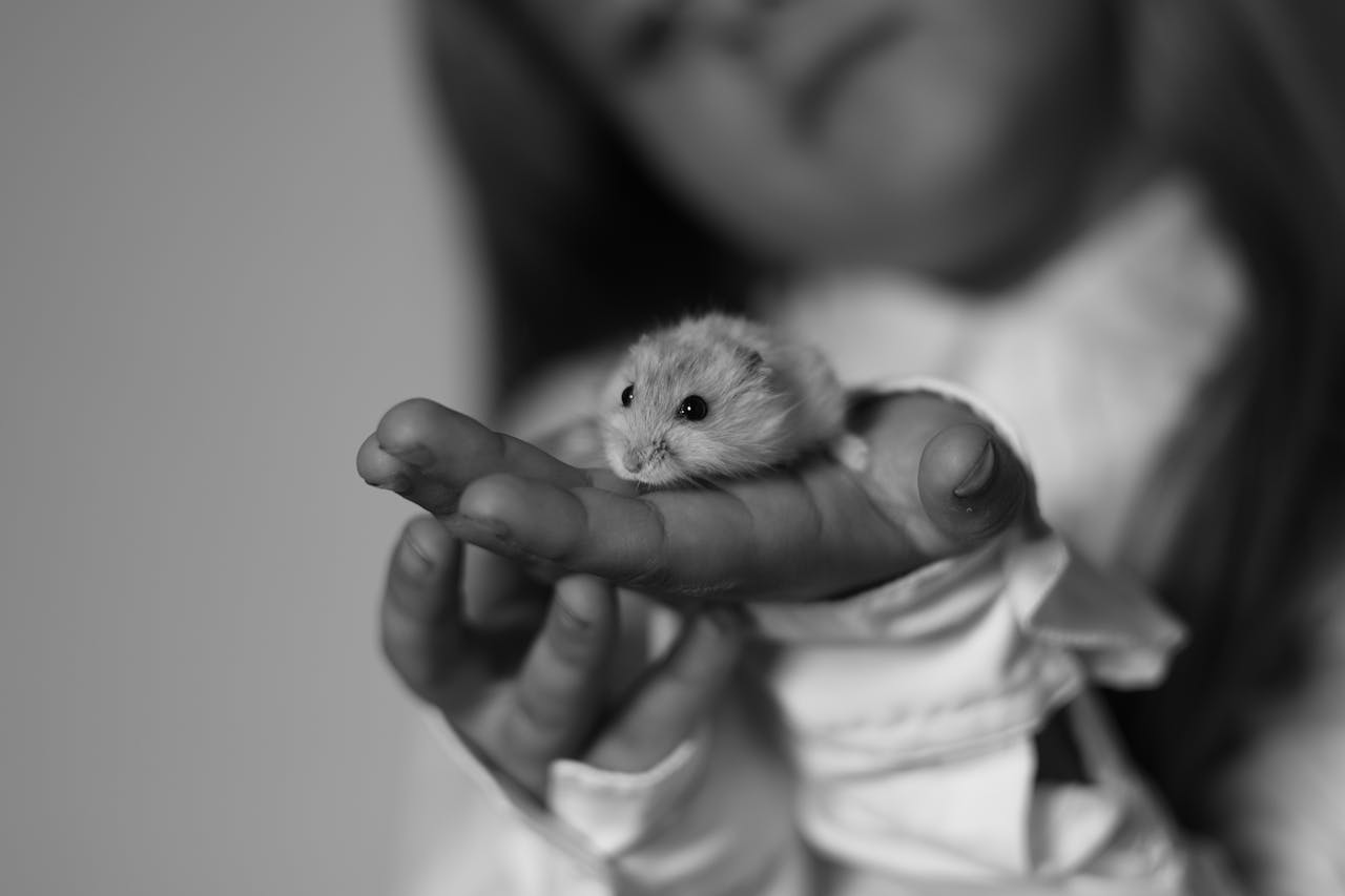 A young girl gently holding a hamster in her hand in monochrome.